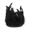 Black Feather Crown - party supplies Lebanon