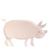 On the Farm Pig Plates - party supplies Lebanon
